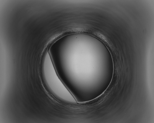 X0000086020677200703230933
