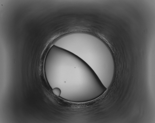 X0000086020679200703230933