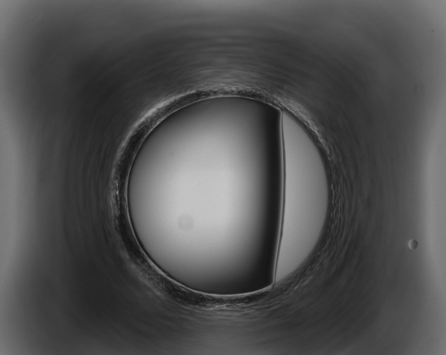 X0000086020680200703230933