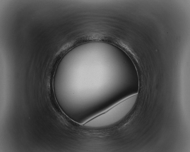X0000086020681200703230933
