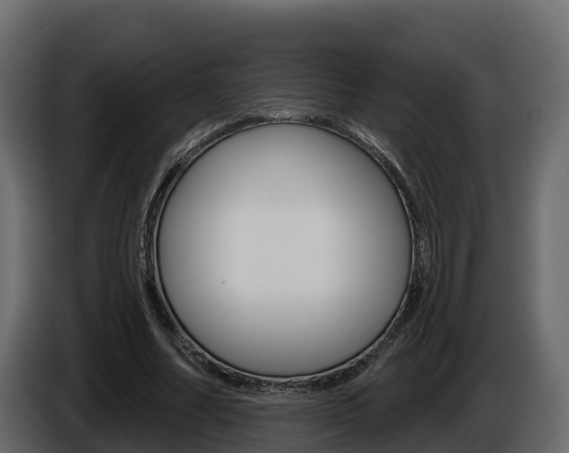 X0000086020682200703230933
