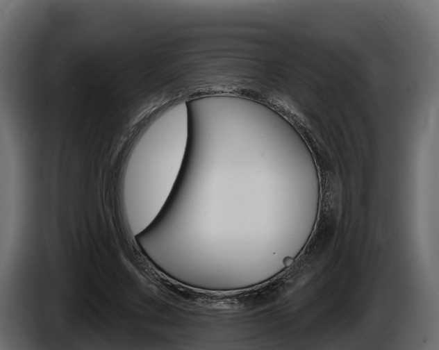 X0000086020683200703230933