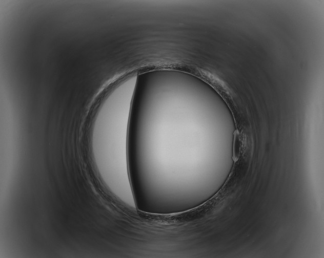 X0000086020684200703230933
