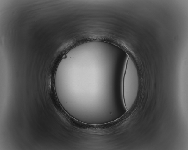 X0000086020685200703230933