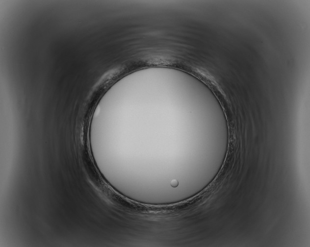 X0000086020686200703230933