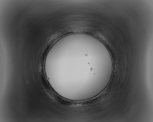 X0000086020687200703230933