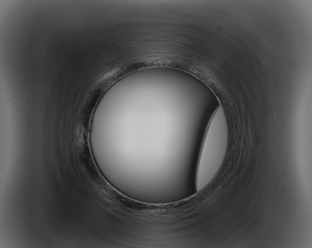 X0000086020692200703230933