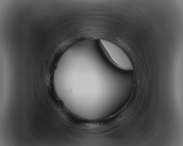 X0000086020693200703230933
