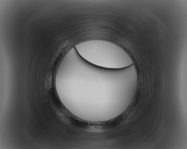 X0000086020694200703230933