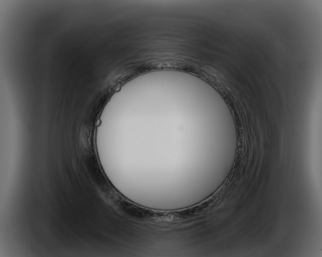 X0000086020695200703230933