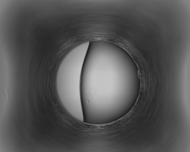 X0000086020696200703230933