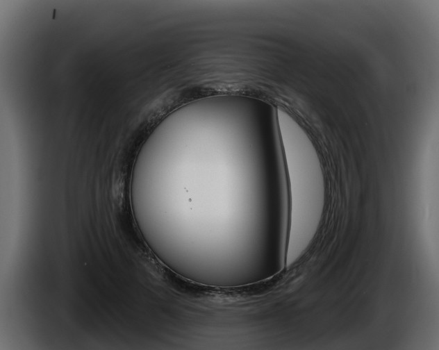 X0000086020697200703230933