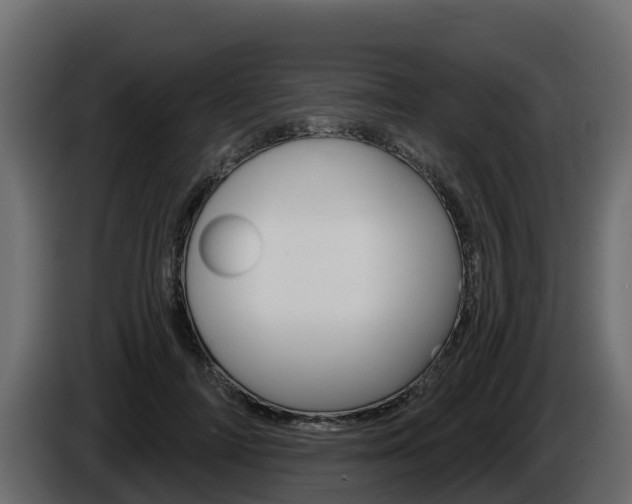 X0000086020698200703230933
