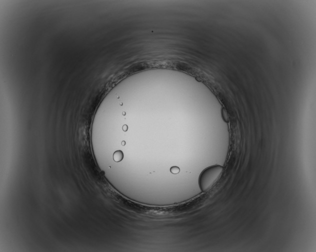 X0000086020699200703230933