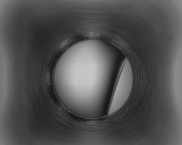 X0000086020700200703230933