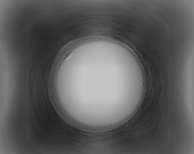 X0000086020701200703230933