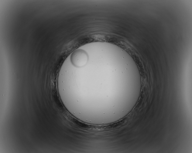 X0000086020702200703230933