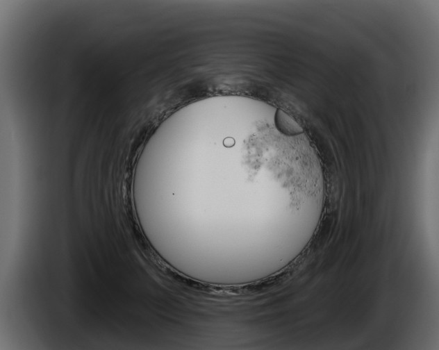 X0000086020703200703230933