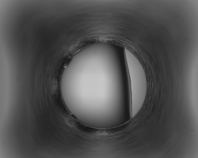 X0000086020704200703230933