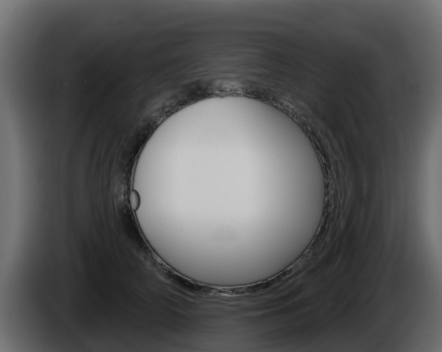 X0000086020706200703230933