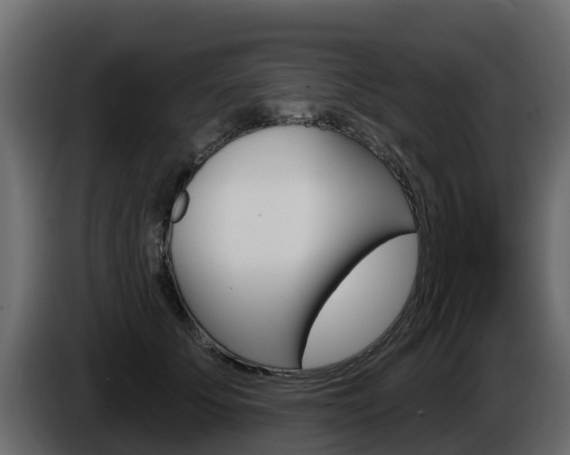 X0000086020707200703230933