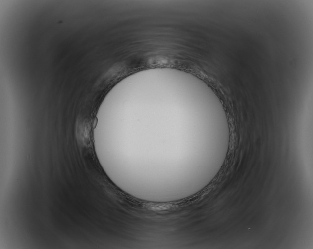 X0000086020709200703230933