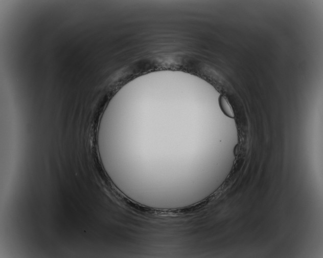 X0000086020710200703230933