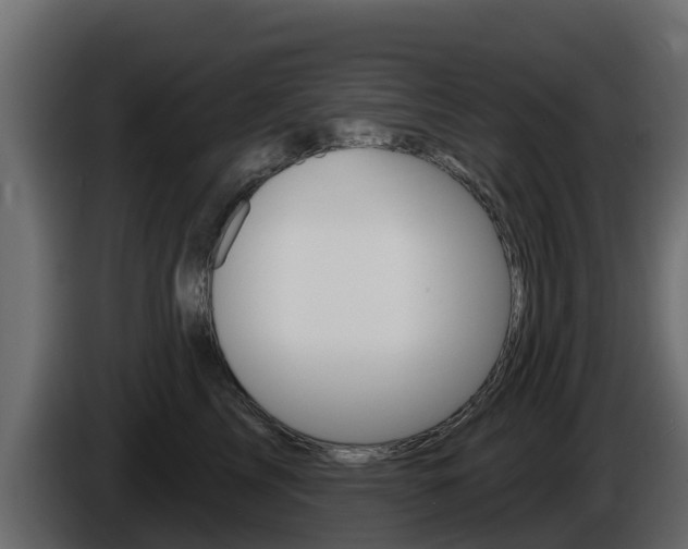 X0000086020713200703230933