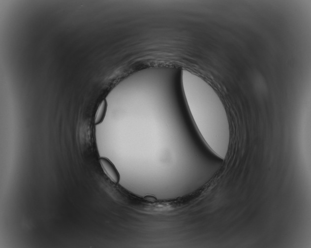 X0000086020715200703230933