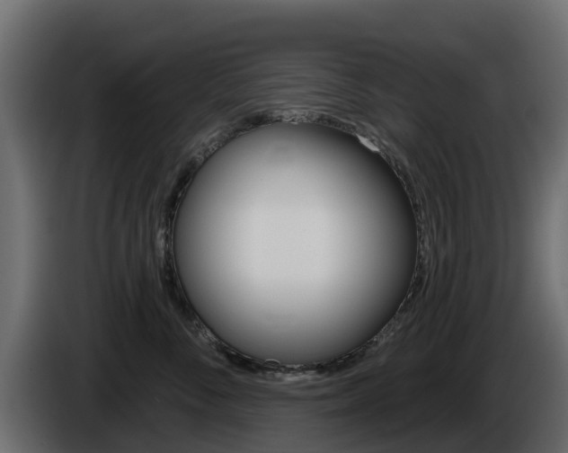 X0000086020716200703230933