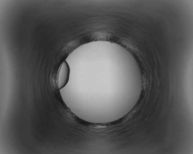 X0000086020718200703230933