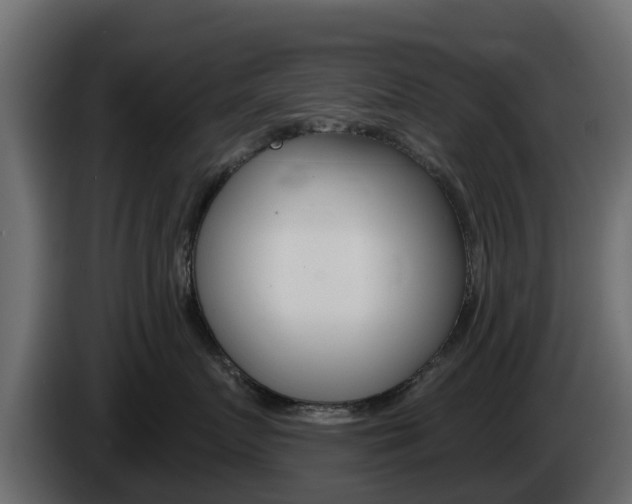X0000086020719200703230933