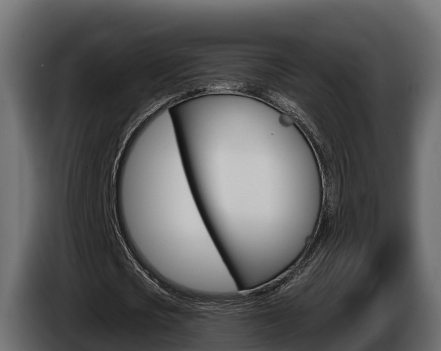 X0000086020721200703230932