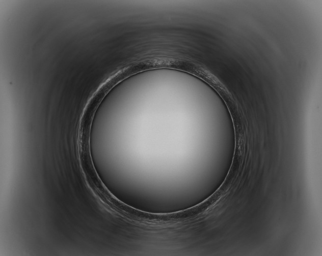 X0000086020722200703230932