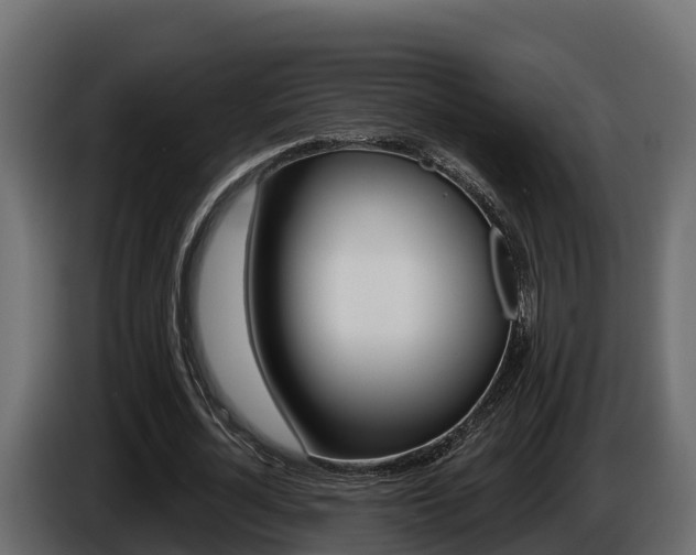 X0000086020724200703230932