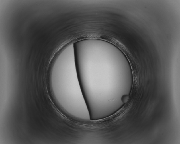 X0000086020725200703230932