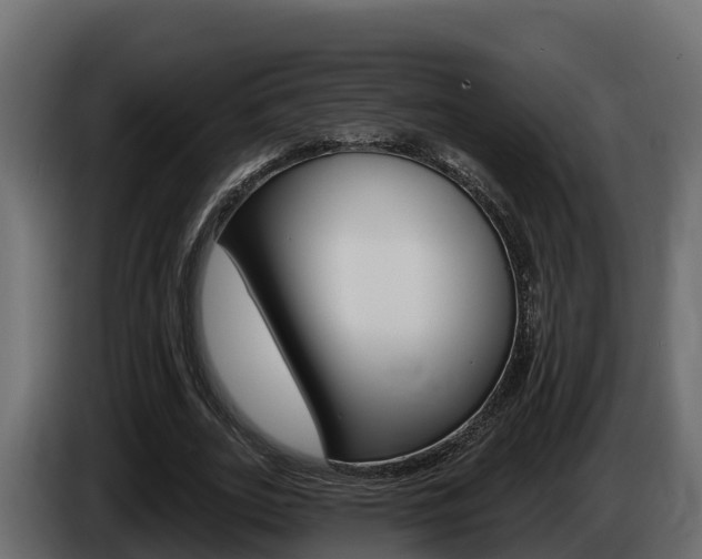 X0000086020727200703230932