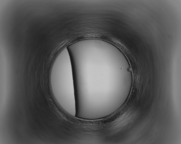 X0000086020729200703230932