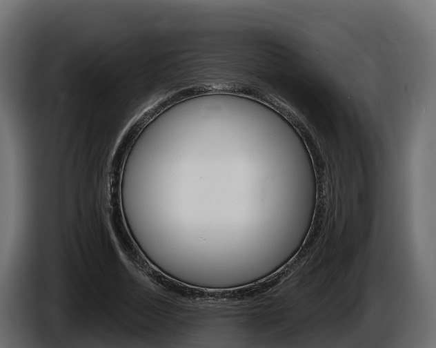 X0000086020730200703230932