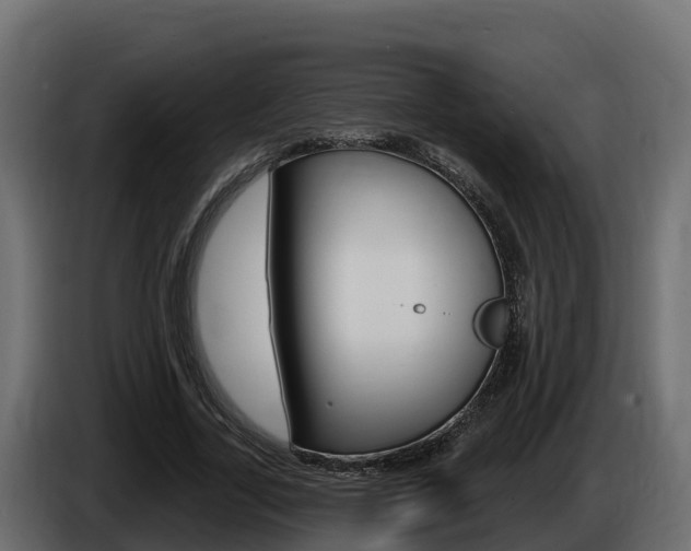 X0000086020731200703230932