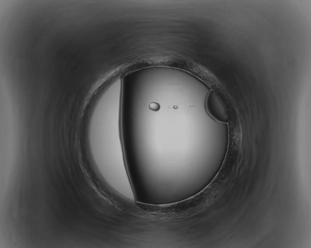 X0000086020732200703230932