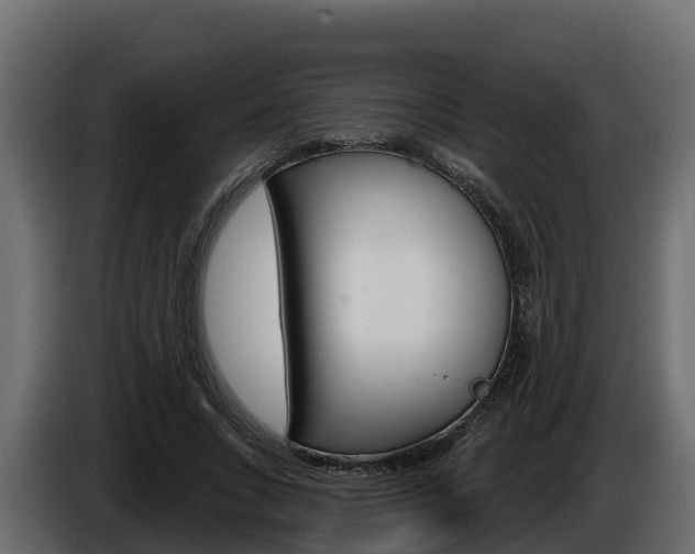 X0000086020735200703230932