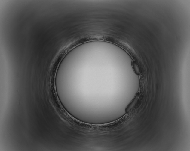 X0000086020736200703230932