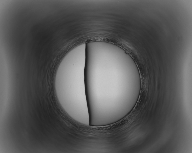 X0000086020737200703230932