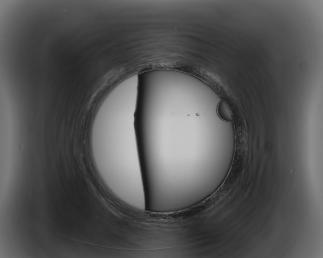 X0000086020738200703230932