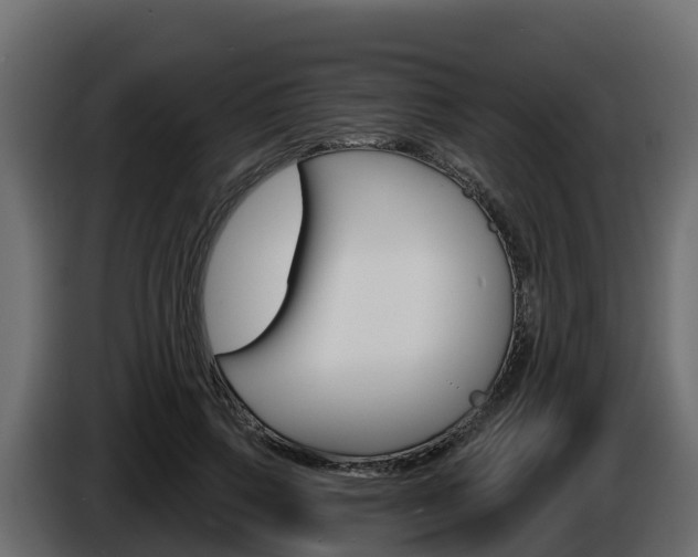 X0000086020741200703230932