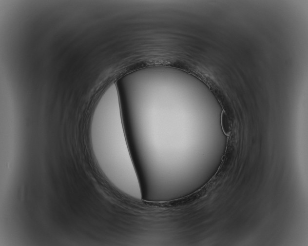 X0000086020742200703230932