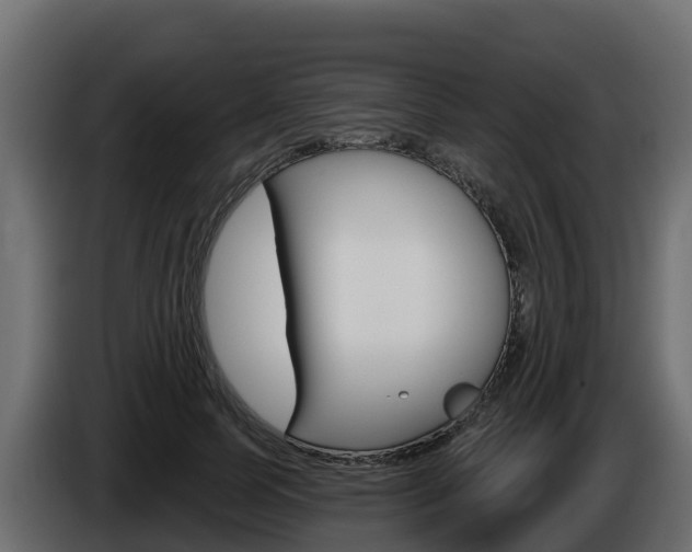 X0000086020745200703230932