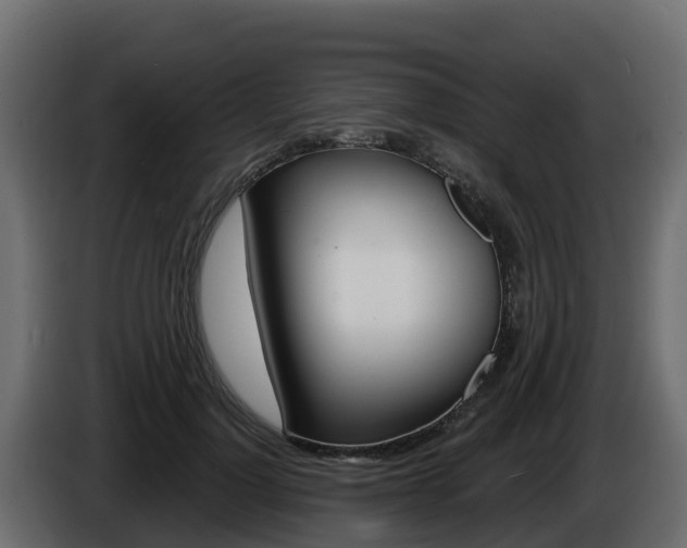 X0000086020748200703230932