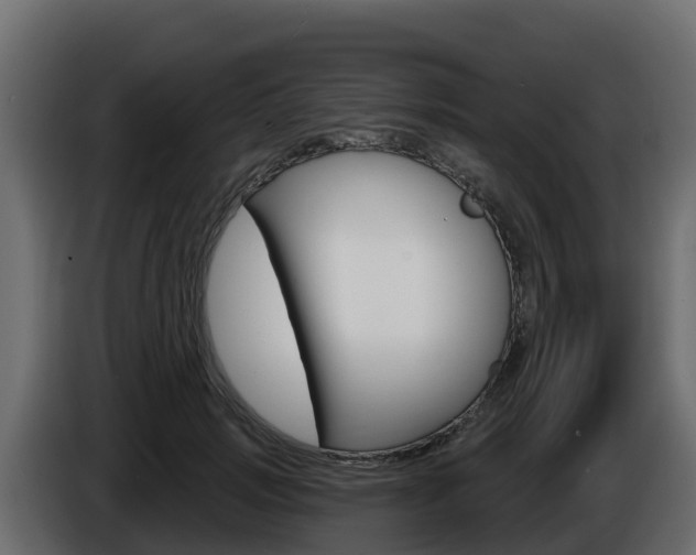 X0000086020749200703230932